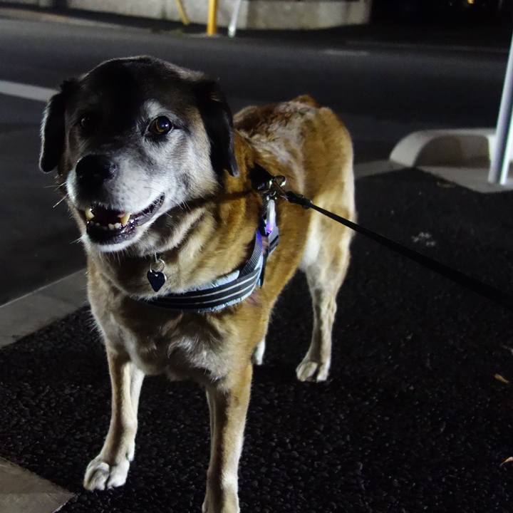 5a8d662d cfae 4190 bd82 a63c58bcdc2e 1556324898956