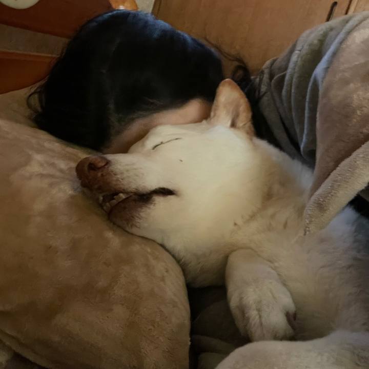 5a8d7b61 e2ea 4066 bb1e 0d2f3051f9d8 1642387172963