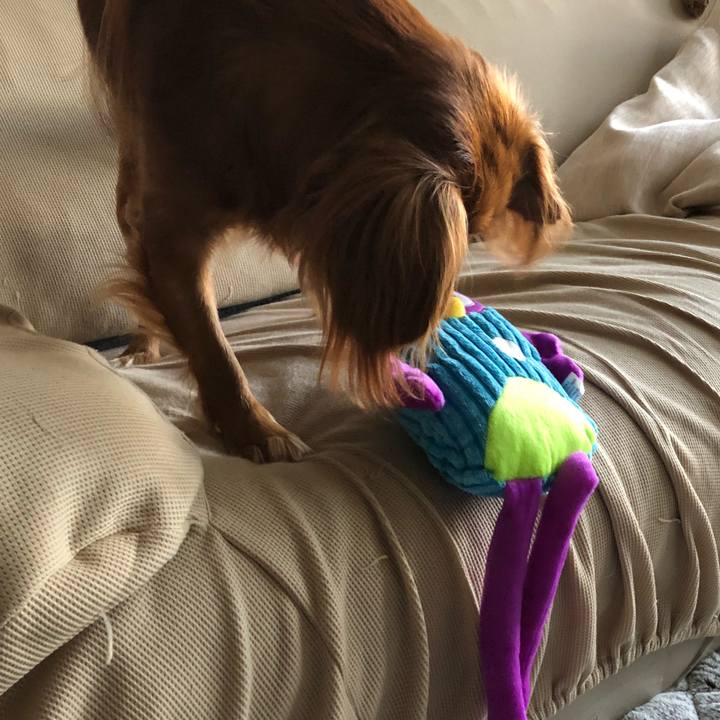 5a8e0d9f e978 482f a27e 01066e09ad5e 1540765300669