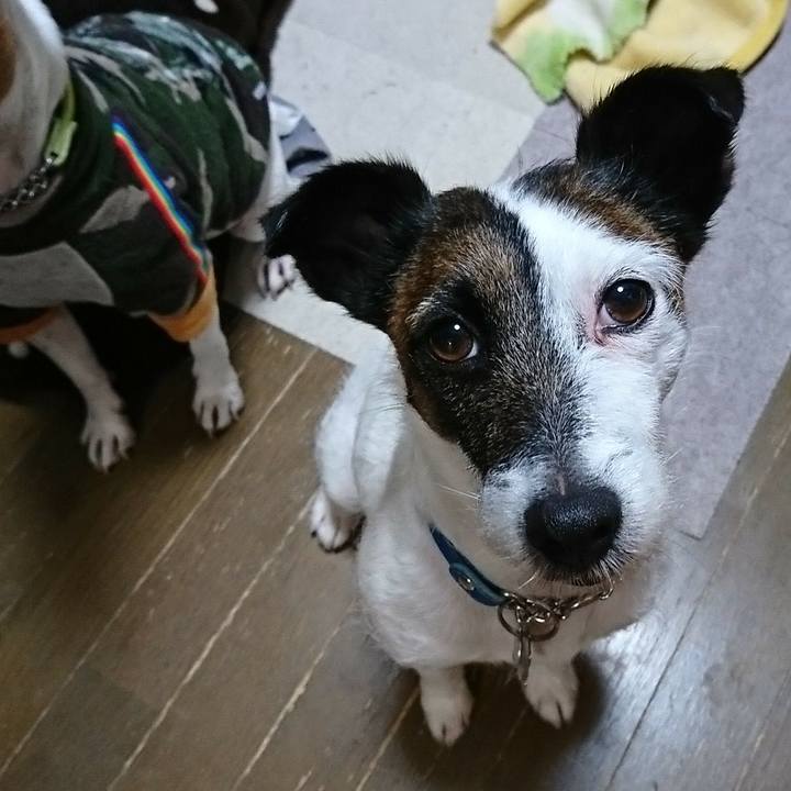 5a8e2572 6aa1 4cc3 98f5 20ac402d5895 1580211531713