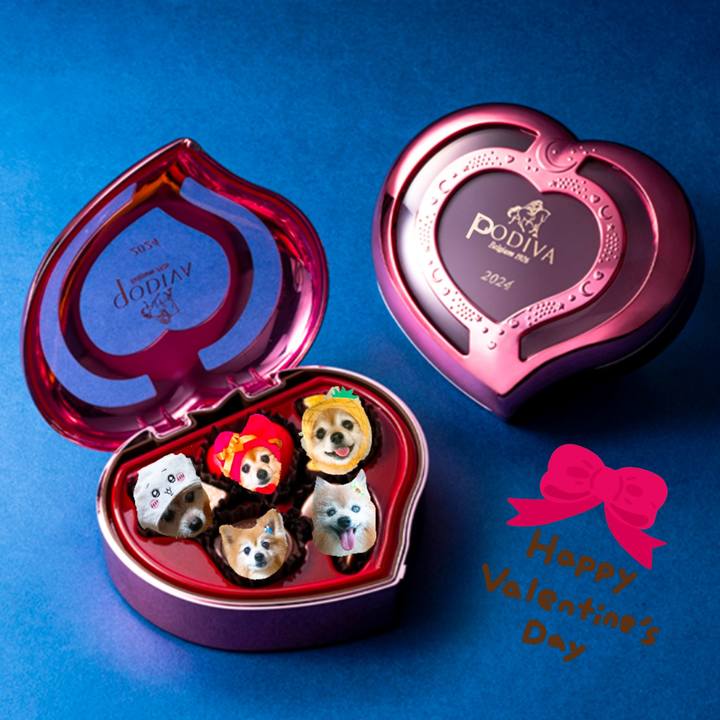 5a8e43f9 a52e 4787 9cde 7cb677056de1 1707867467848