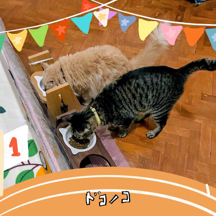 5a8e4ab8 0b07 41dd 84b9 061c32746946 1762436410392