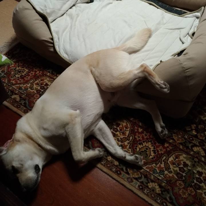 5a8e62b0 ed4b 4195 9b4b 867511e291a3 1596827576315