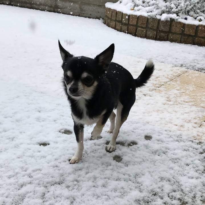 5a8f0502 8005 4152 a0d2 4d23a71b3be9 1517702290958