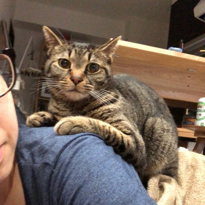 5a8f1334 f451 49d6 950b 54cfea4b4cac 1527083449542