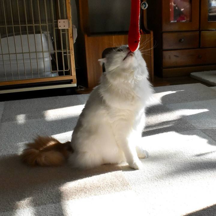 5a8f1727 ba70 4772 974f cac239e31c9f 1767493917226