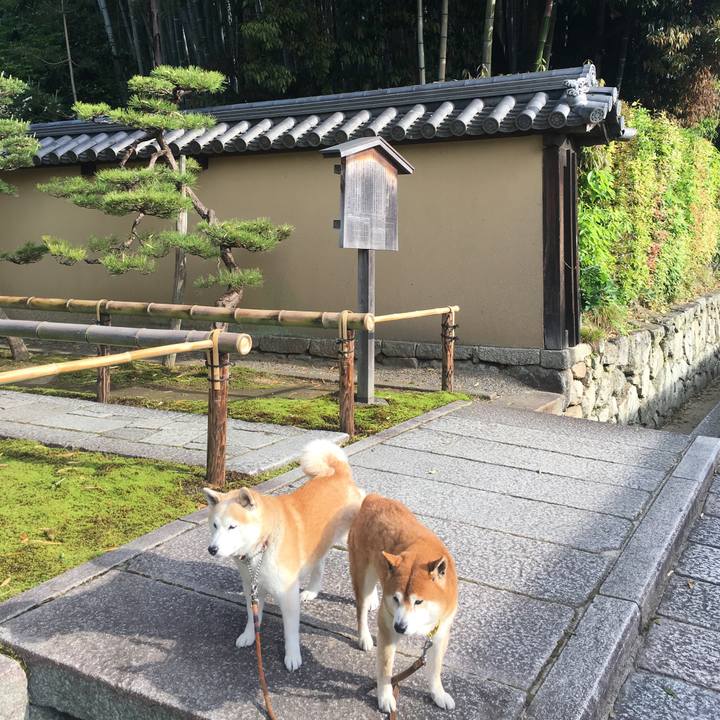 5a8f220a 872a 4ca9 8ba9 2dd7650ea130 1525587760223