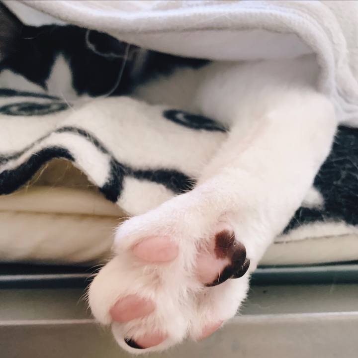 5a8f26ff 122c 4c72 b32b 729711667405 1555209543596