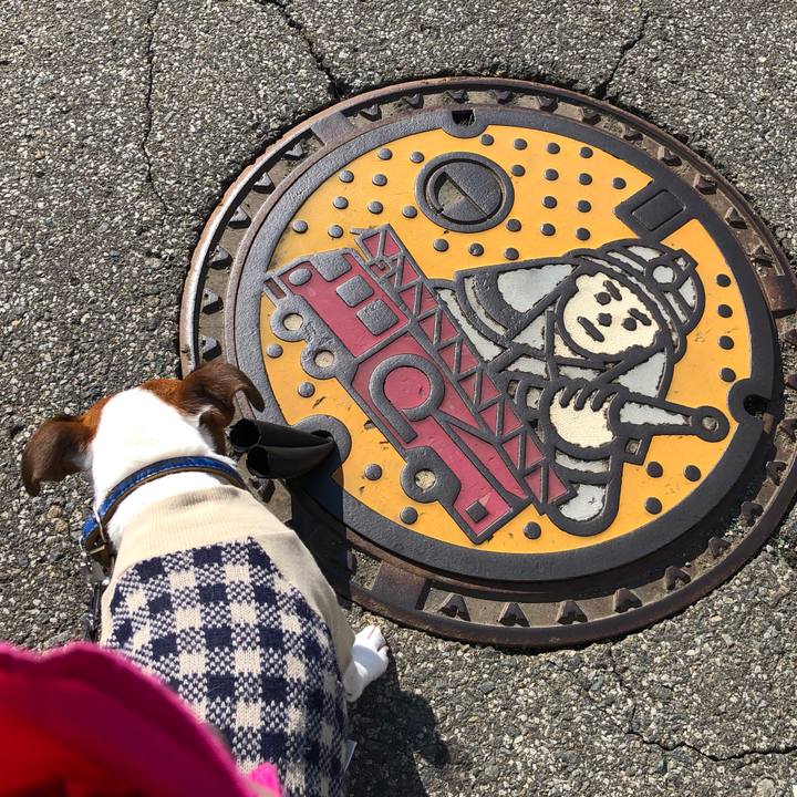 5a8f49bf a562 41a1 a110 b76a042f722d 1574311810747