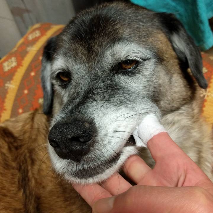 5a8f5543 0d8b 4c7a b559 cde51c8b54f6 1540911191838