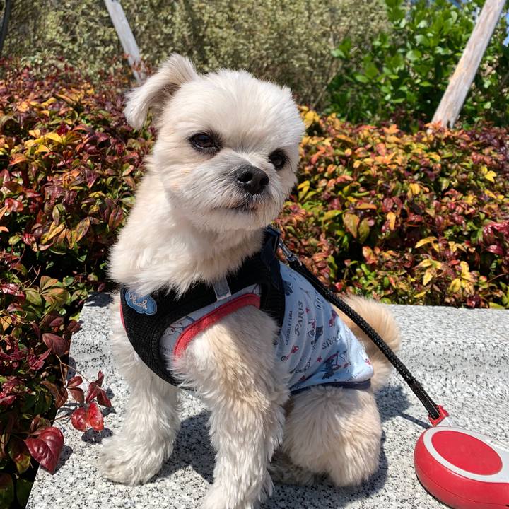 5a8f7836 3a1b 453e a4f2 d721d50c808e 1554291530317