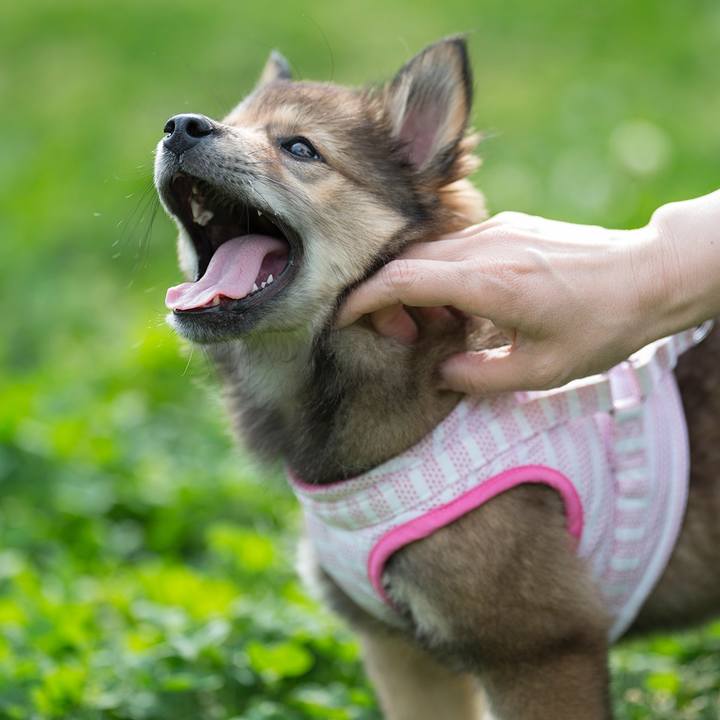 5a8f99d3 ca4b 4e3a b53d b99bf36f92b2 1523617368391