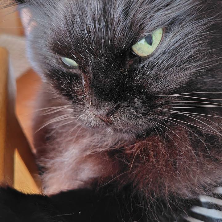 5a8fb01a 8df1 4f51 8f2a 0df029912098 1721446478809