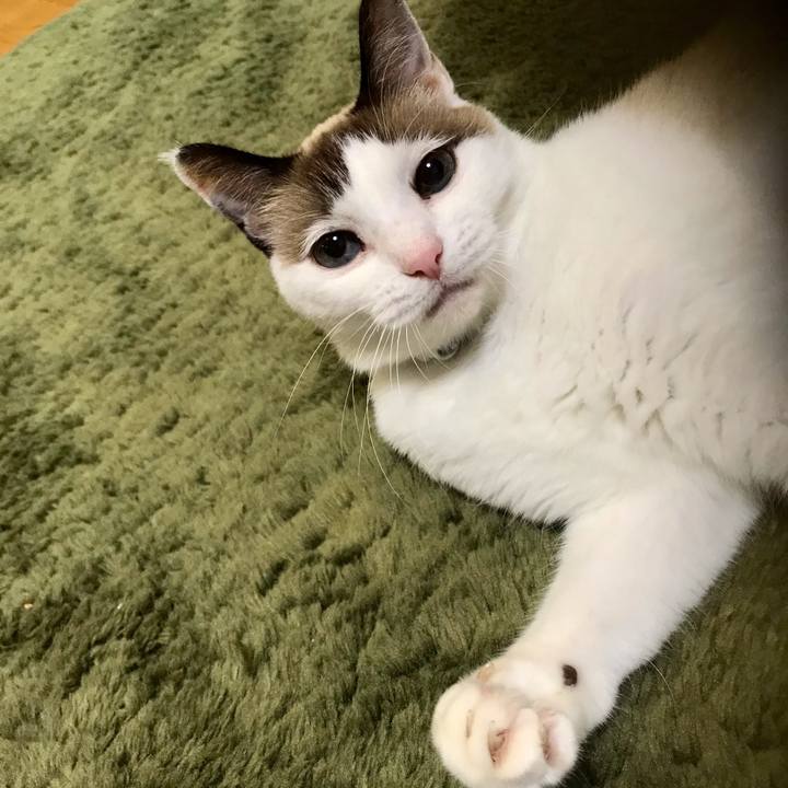 5a8fdf9d 9cbf 42ae b31e 72021d40b6ac 1604795356842