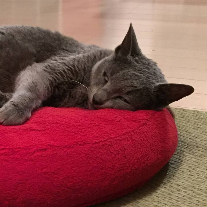 5a900e3a 2bc2 409e 9f13 d6aff32a162c 1561678236402