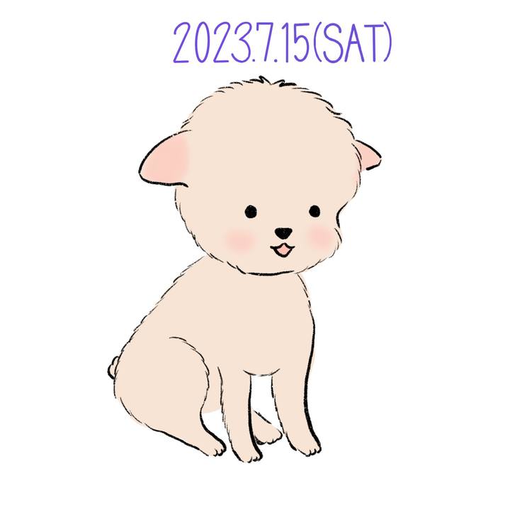 5a902119 c2fb 4da5 8d4c f2b93912f643 1689426073428