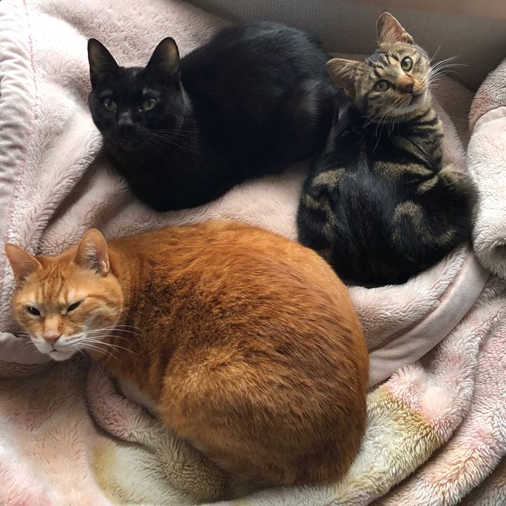 5a9034c2 41ee 4b93 8574 0a829aca0833 1742683089660