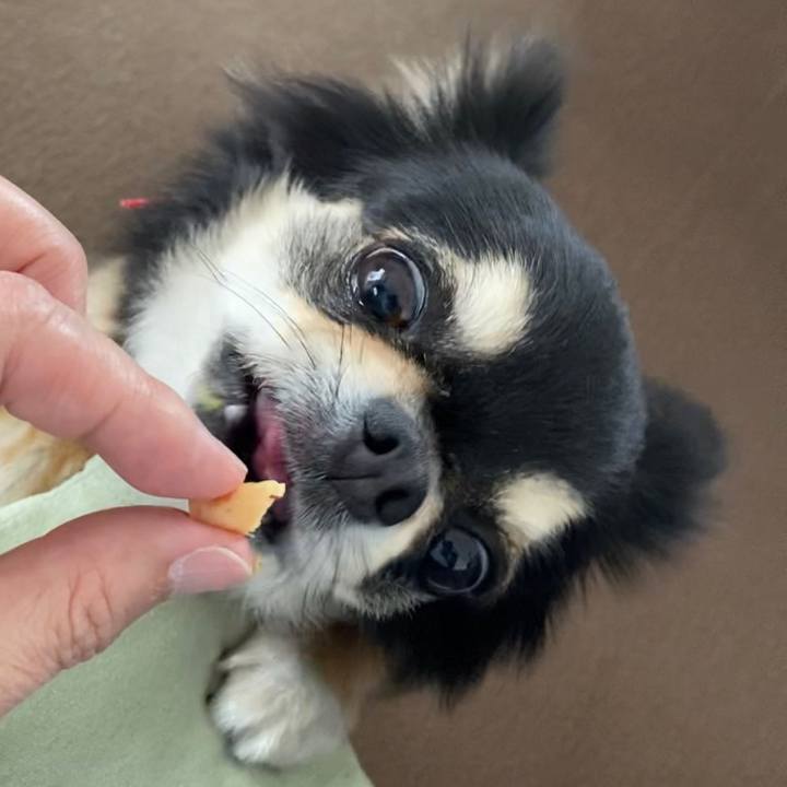 5a9040d5 2aca 4067 b888 b665b90ef69f 1624926859928