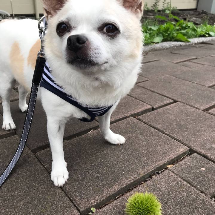 5a905aa5 c1ba 4adf a5fd 4d67e8d87a96 1566867491892