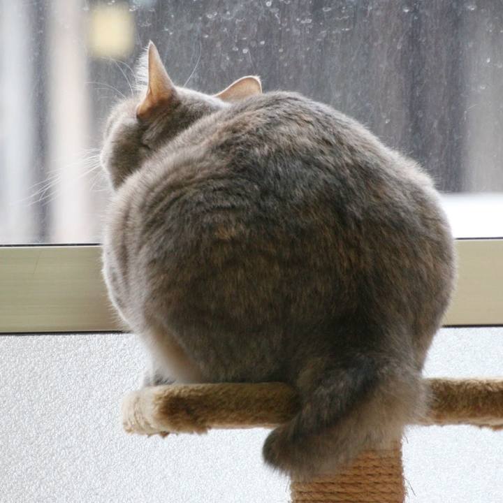 5a9095c9 1204 4bb4 9145 91926ada134c 1551233770284