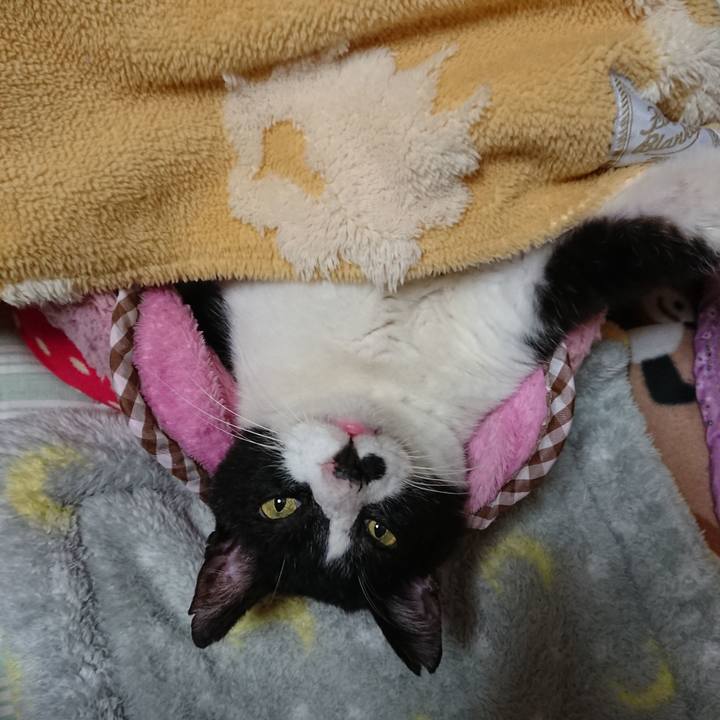 5a90b586 4ac5 4683 83ec 00c764da0667 1573478692991