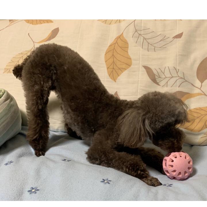 5a90c564 96b1 45af b7b5 b853e310c3a3 1566944311148