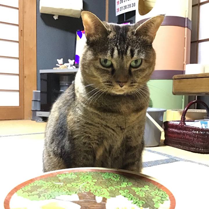 5a90d876 03dd 46e4 bcb8 da6db68a9162 1759835836439