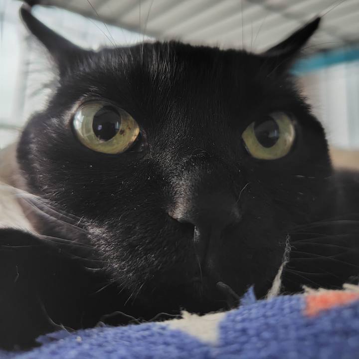 5a912d55 5716 47b0 8751 37adc77b994c 1716763135827