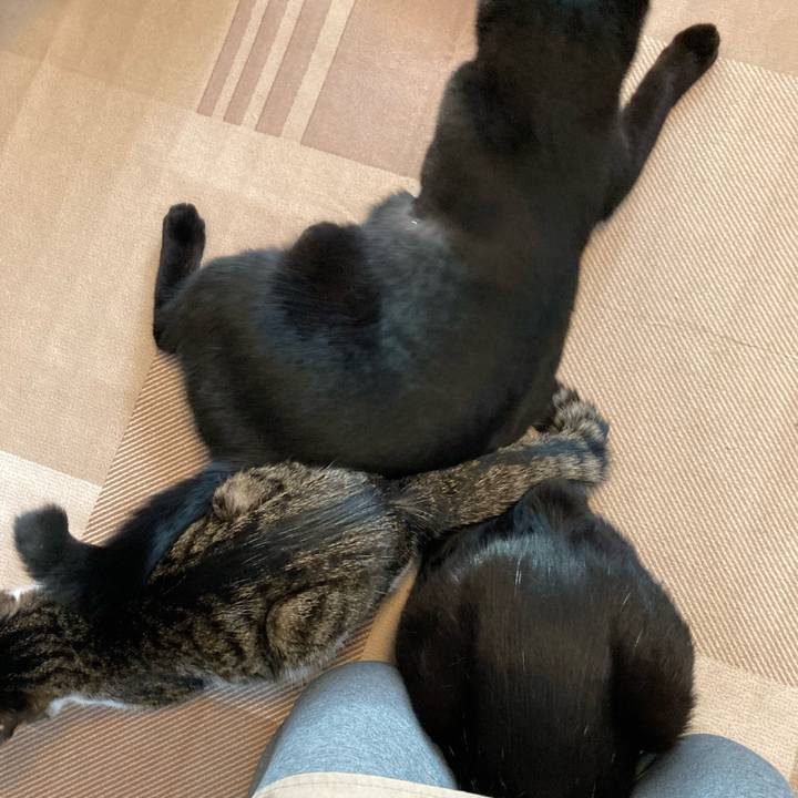 5a914e4c 4d41 42a4 9bae 177853c6a110 1703979753035