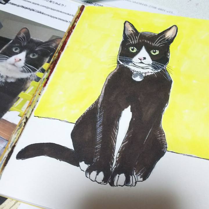 5a915dda 0ada 4e7a b5a4 9b1fe96e7249 1545542710172