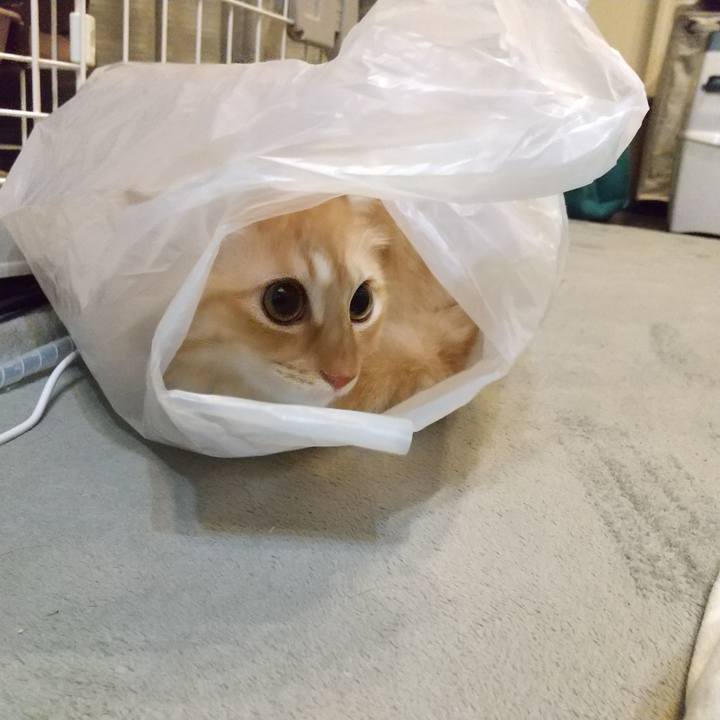 5a916337 31ca 45ed a2a2 5b1e7a76abda 1638021258310