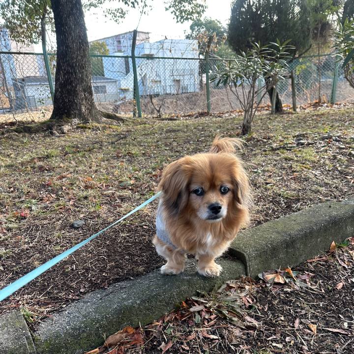 5a91703c 178d 4db5 b6ef 3c513a0556a2 1739673233515