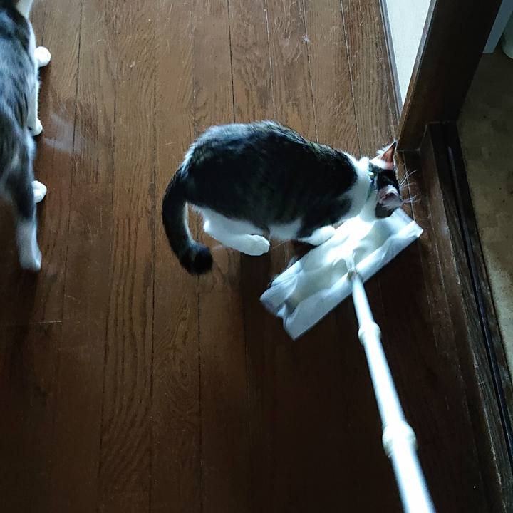 5a917b24 9598 4ad6 a52e 3f13d90c1eb0 1554940332457