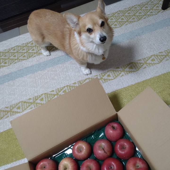 5a91ab5b 7b14 4756 a06d 0563ba7c32af 1671333004803