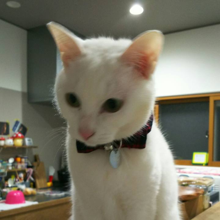 5a91ade6 ea27 4104 bb5f 33252a287c8a 1520774617235