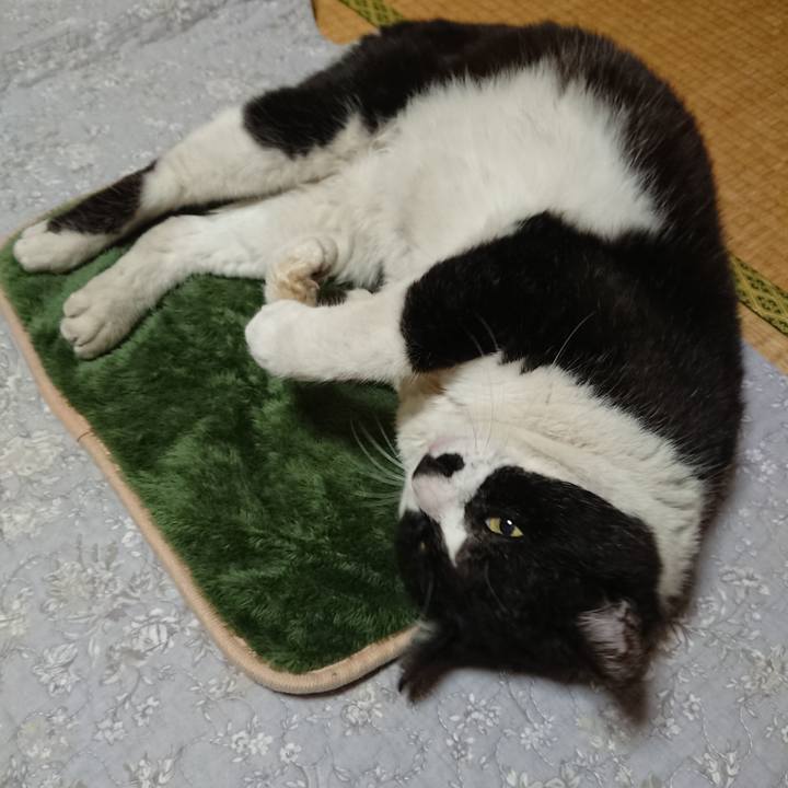 5a91c435 3213 4c67 83c6 bd8697029664 1651142859608