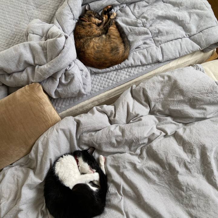 5a91d451 7eef 47f8 aef9 124a6a4079ef 1624188899337