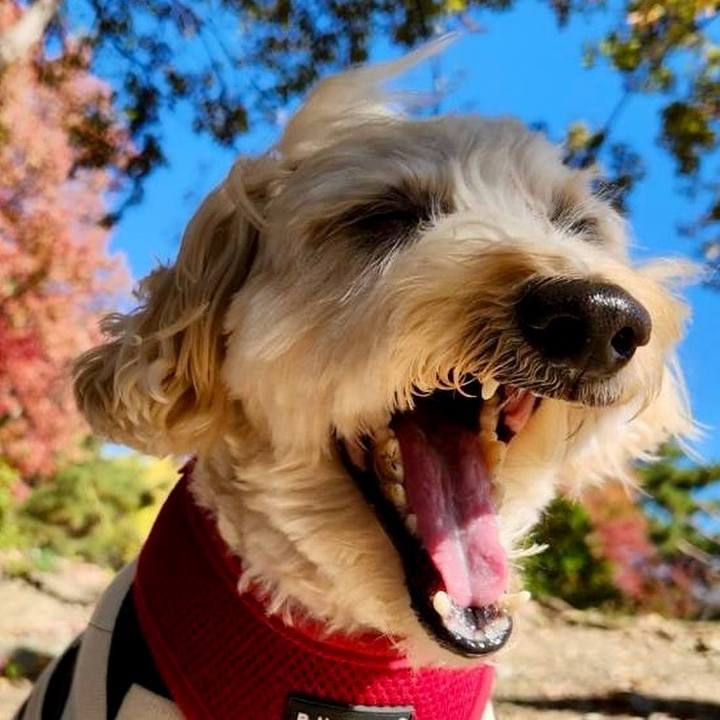 5a91e88d 80e0 4a2f ae5b 5d710e539d24 1763782907604