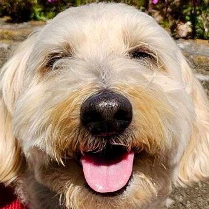 5a920937 0fc6 4c33 aec2 0f6cc8d15240 1774686234060