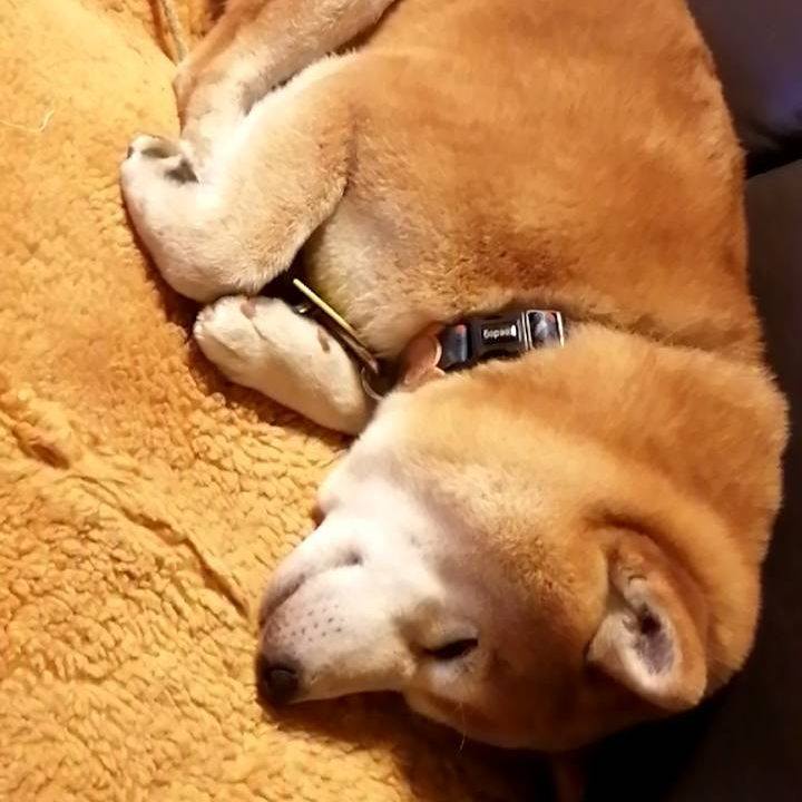 5a922421 b35c 4ee7 a4a8 e685881b2574 1588278892827