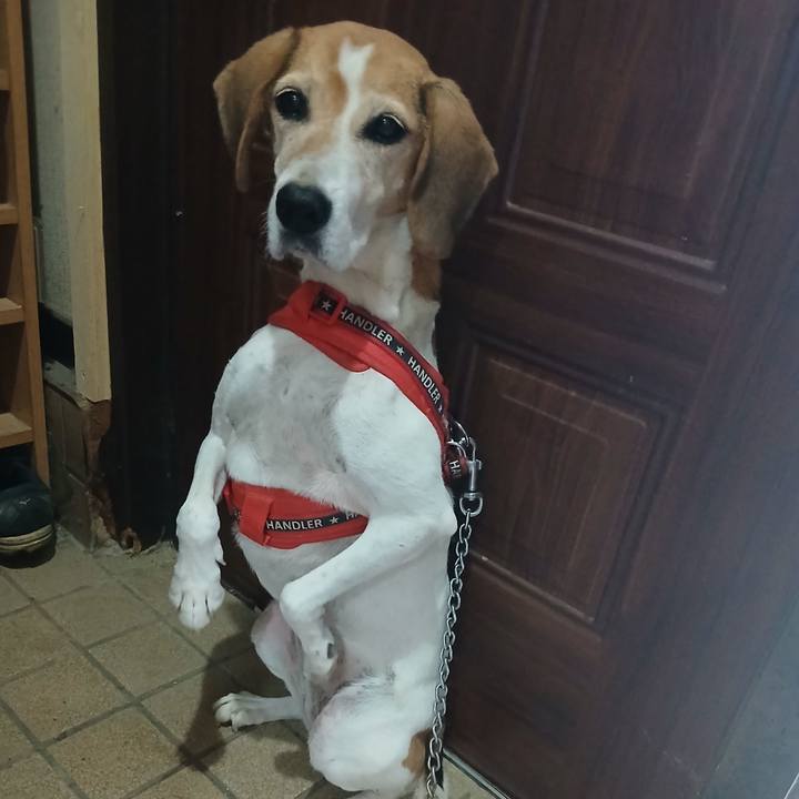 5a92281f 8679 4dd2 b054 0503729328b7 1760437485805