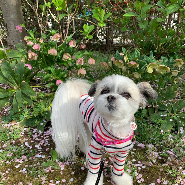 5a926558 4756 4f5d a38a 37e18f466fb5 1555026762308