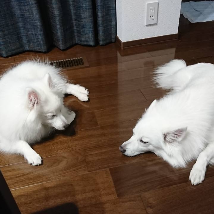 5a928809 04a9 4a2f 951c c7aca88814a6 1554304594429