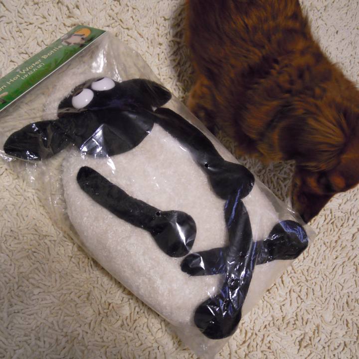 5a92b9b4 bb73 4d07 9e6f 576491ed49e9 1535453387317