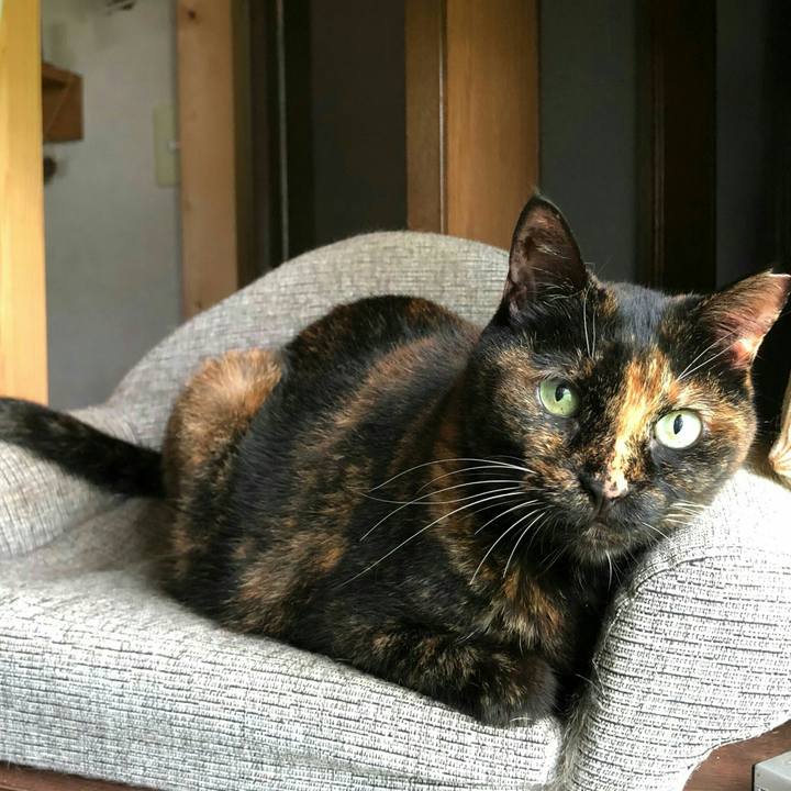 5a92c3f9 e10c 4081 a5b8 ef6680e25e6c 1600225013375