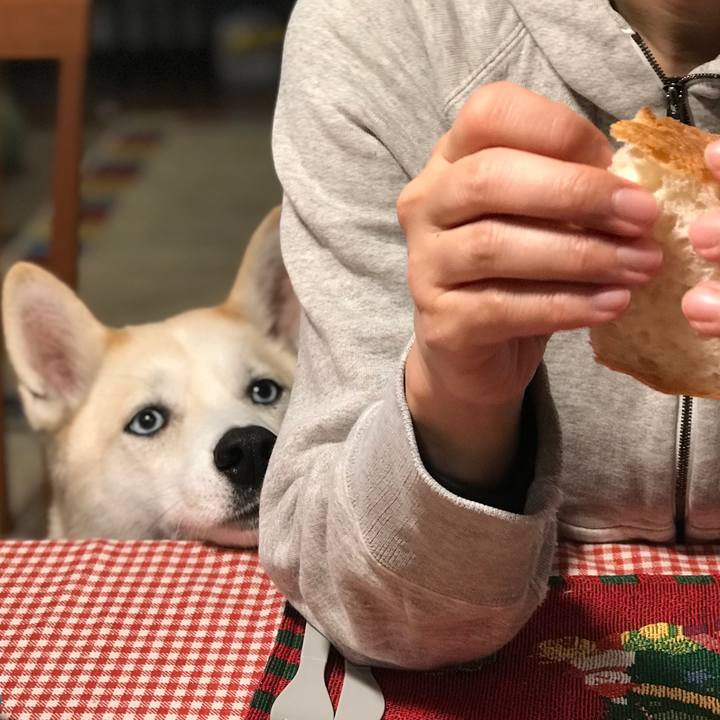 5a92d54e 6f6f 4694 9d1a 1e07ed60f97c 1642930456796