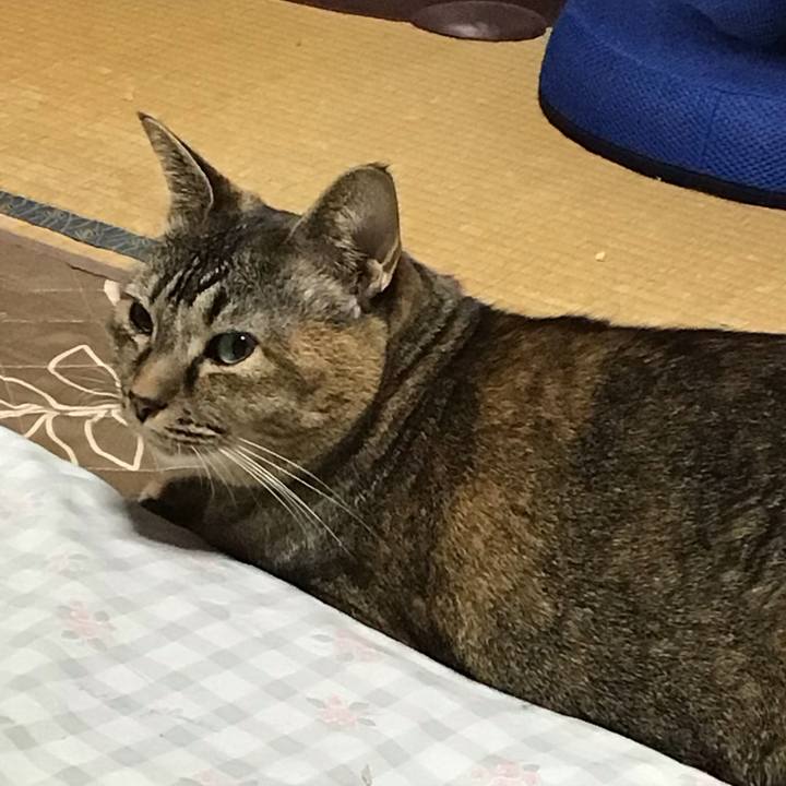 5a936afc 95d7 489e be05 5f829665001b 1733391355994