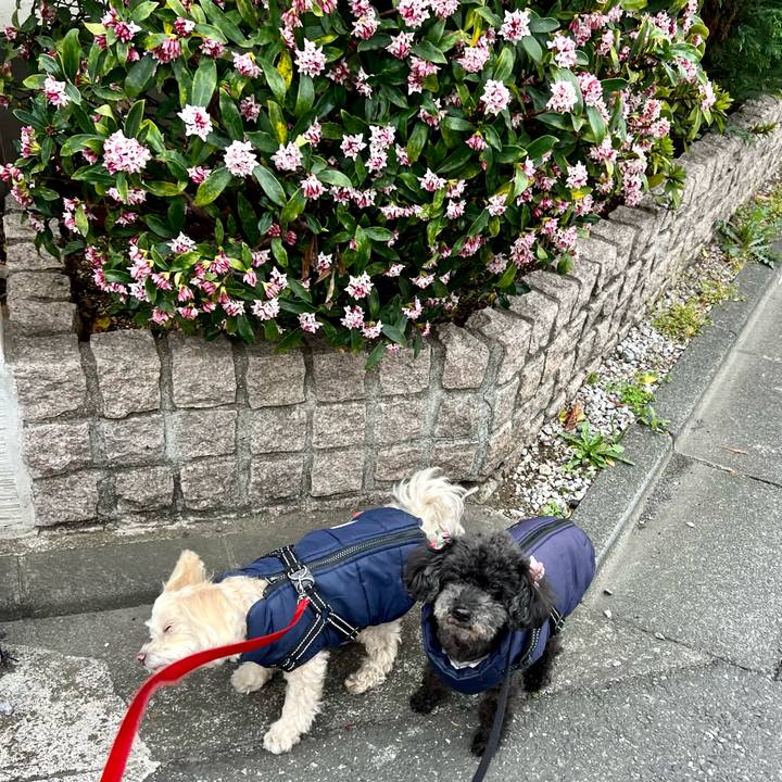 5a937f5d 5dda 47f4 af3f 27278693a446 1772439080619