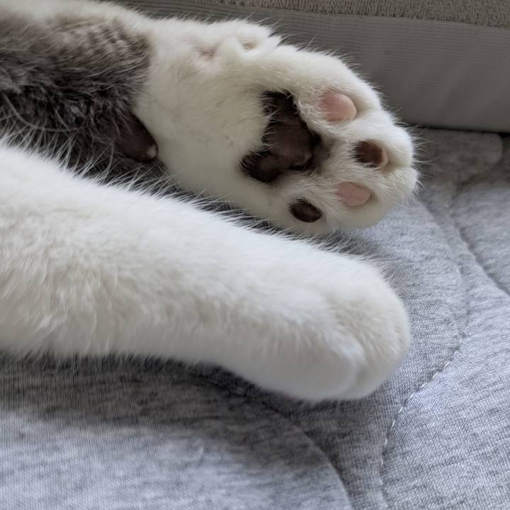 5a93a1e4 e2fa 41ab 8fb4 de011efc6acf 1756691525556