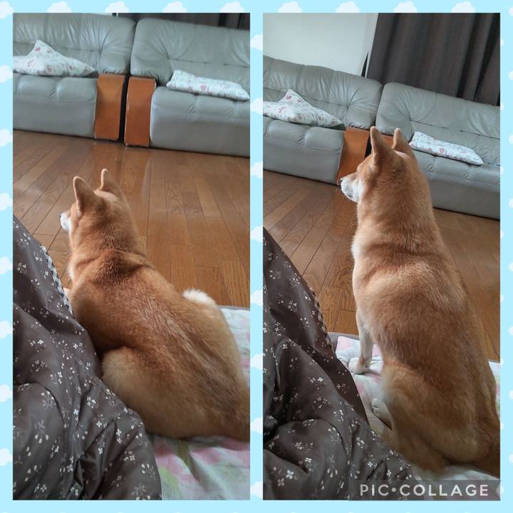 5a93a218 9dde 49c9 9826 16fbc14af724 1739953311477